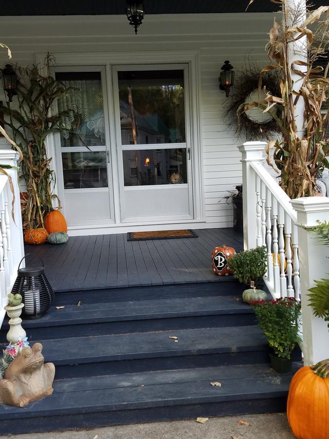The Perkins House Bed & Breakfast Cornish Exterior photo